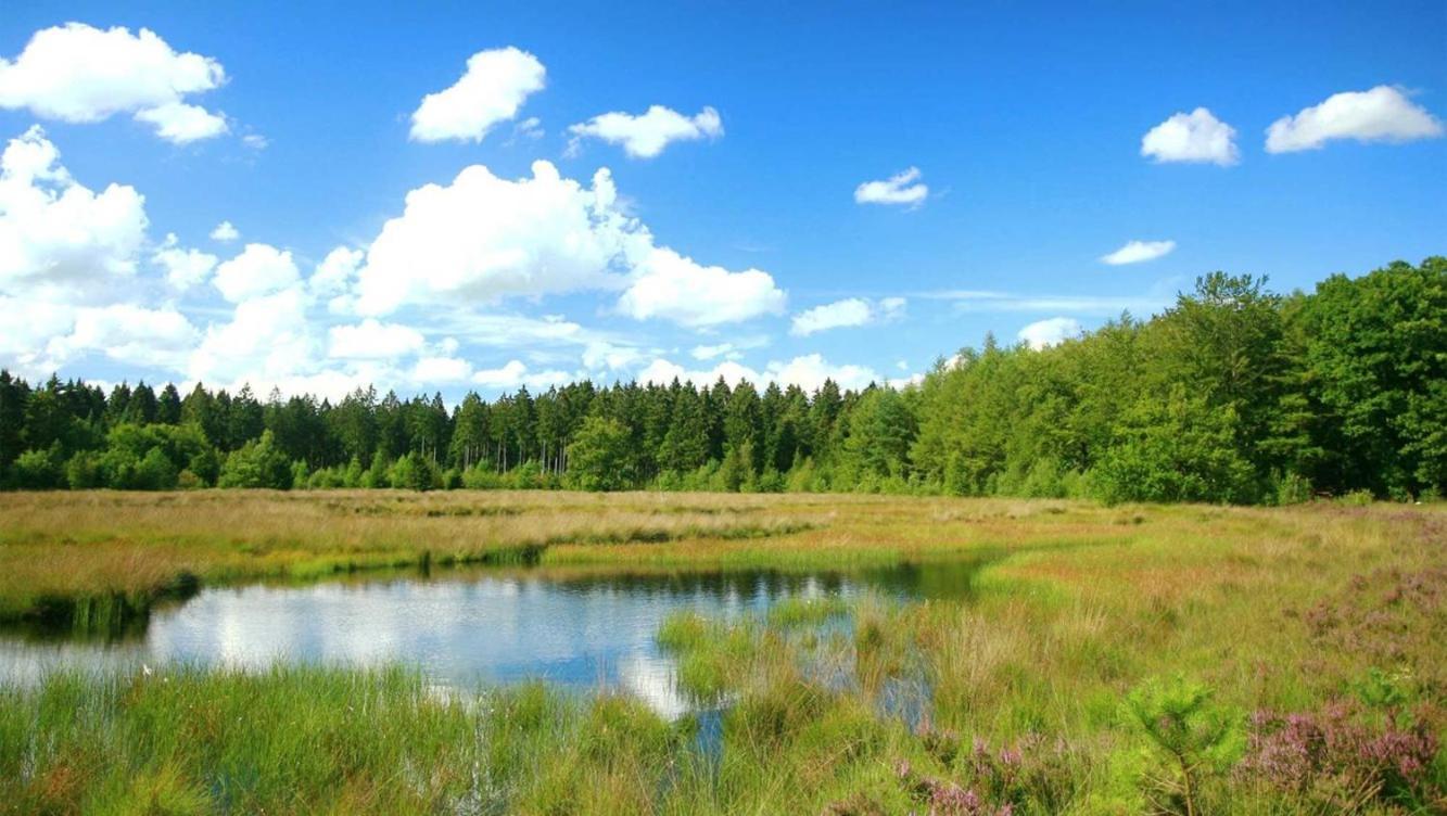 Comfortabel Chalet In Nationaal Park Wateren Buitenkant foto
