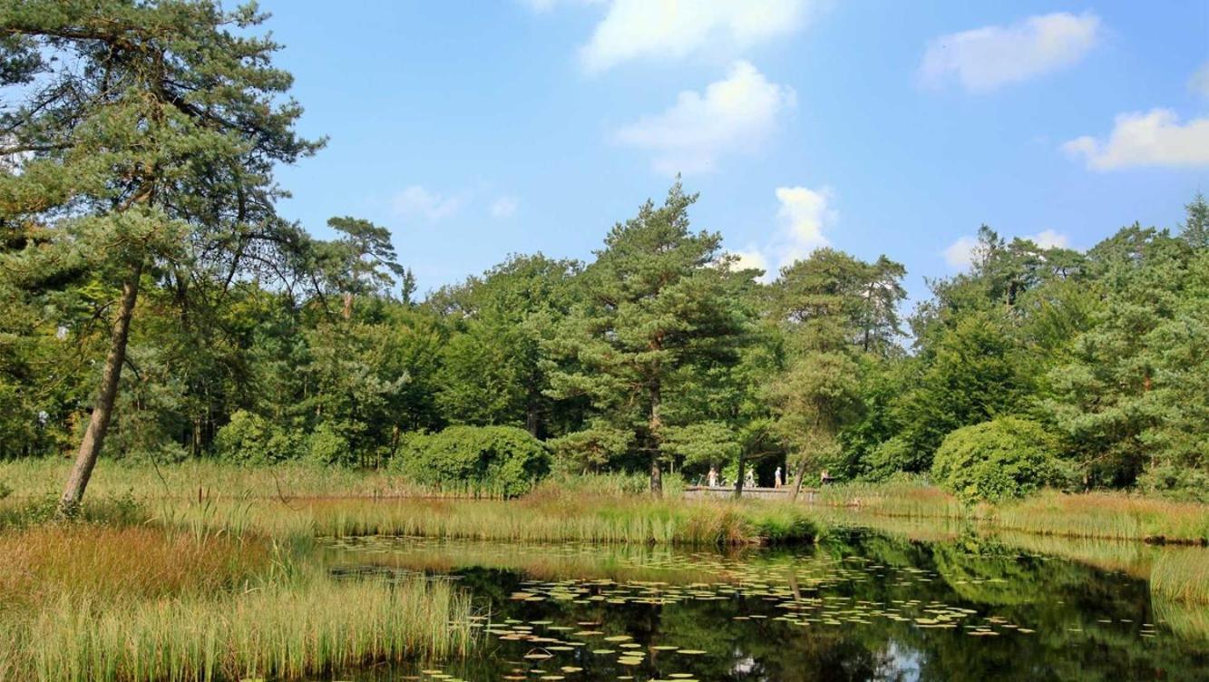 Comfortabel Chalet In Nationaal Park Wateren Buitenkant foto